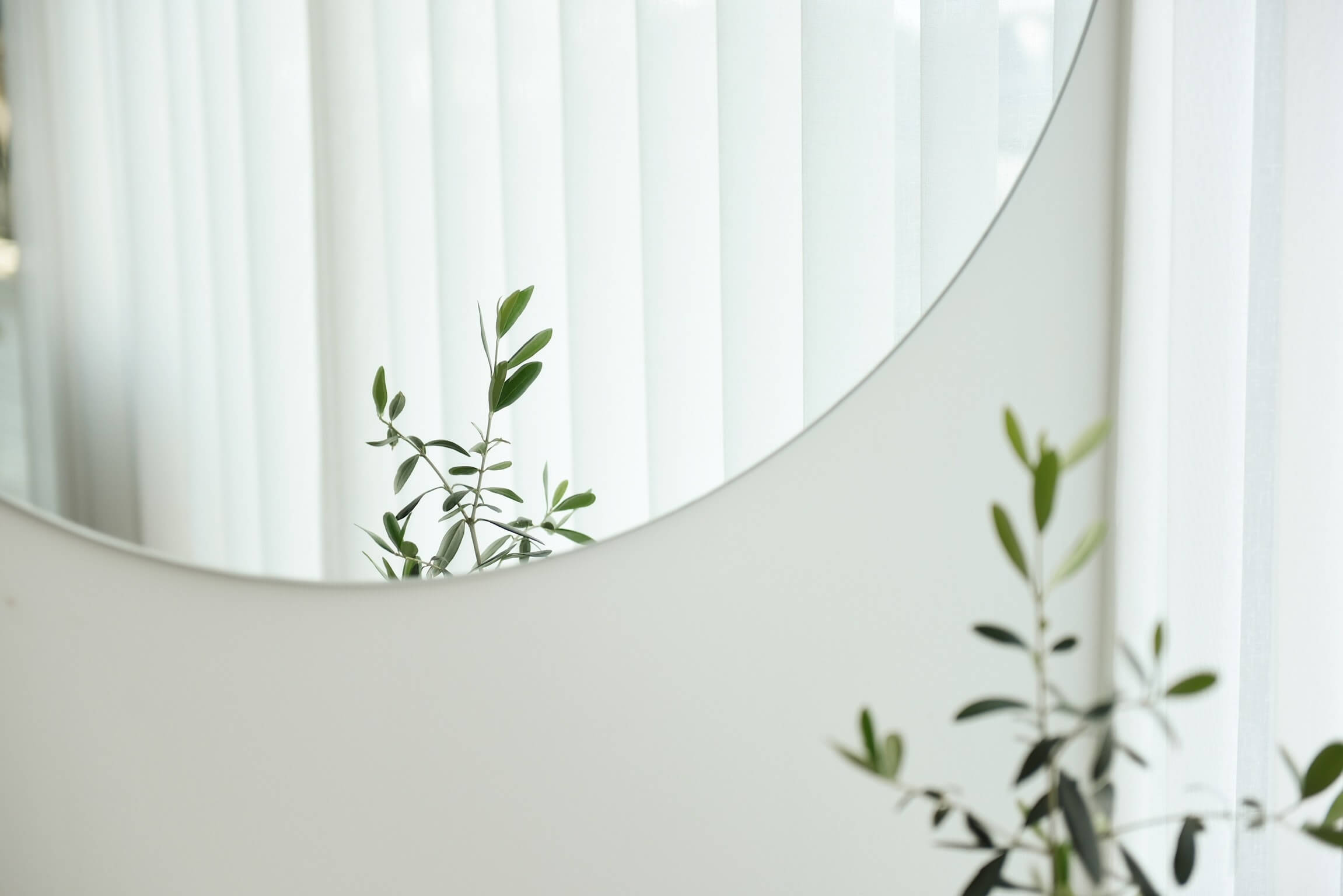 Runder minimalistischer Spiegel mit Pflanze
